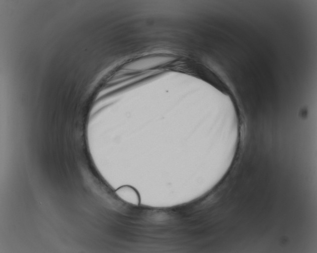 X0000115820249200912241941