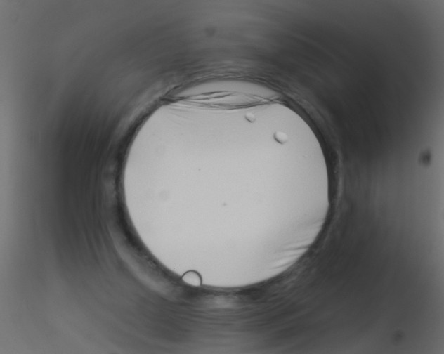 X0000115820250200912241941