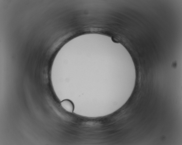 X0000115820251200912241941