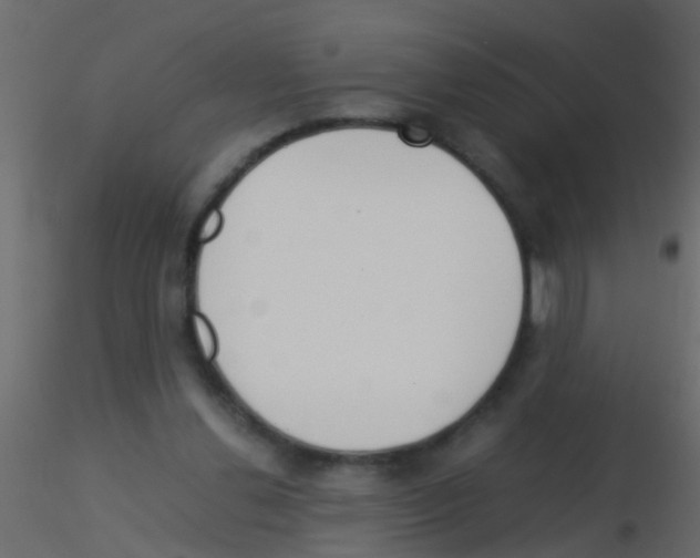 X0000115820252200912241941