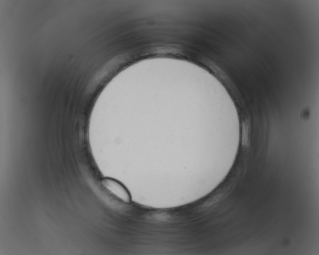 X0000115820253200912241941