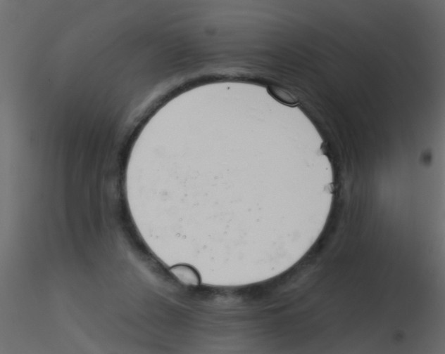 X0000115820256200912241941