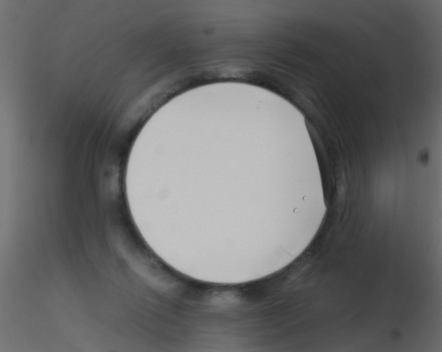 X0000115820262200912241941