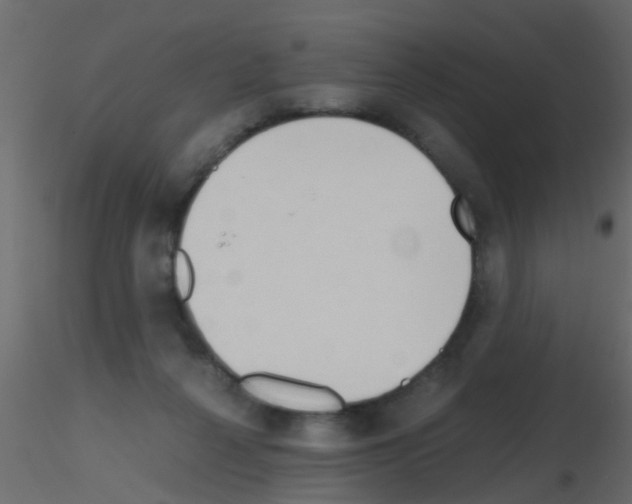 X0000115820264200912241941