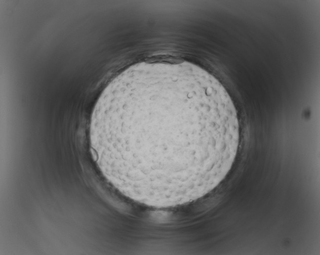 X0000115820265200912241941