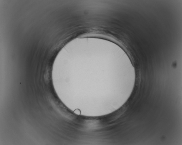 X0000115820266200912241941