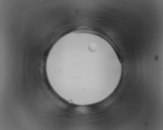 X0000115820269200912241941