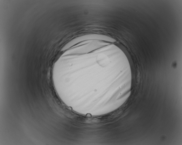 X0000115820271200912241941