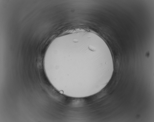 X0000115820274200912241941