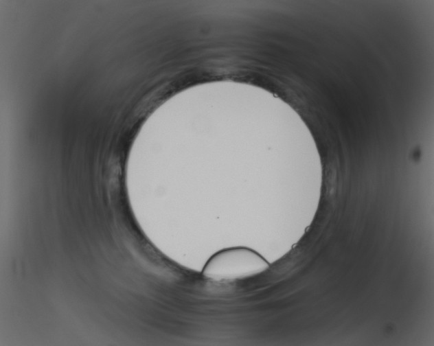 X0000115820279200912241941