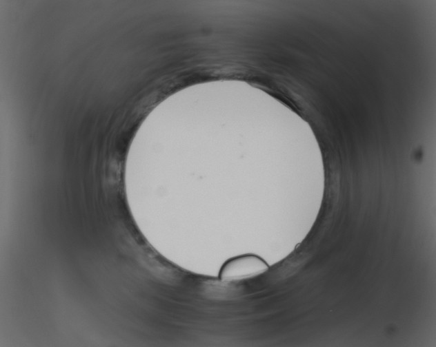 X0000115820281200912241941