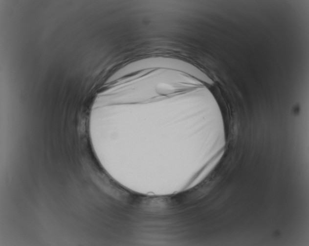 X0000115820282200912241941