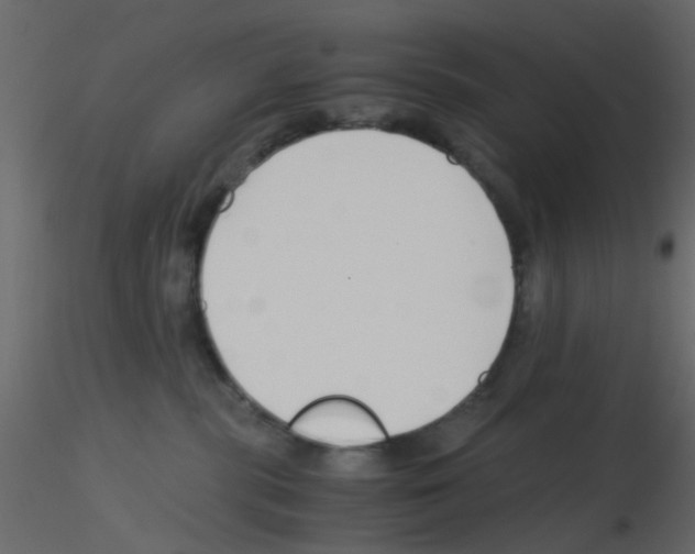 X0000115820283200912241941