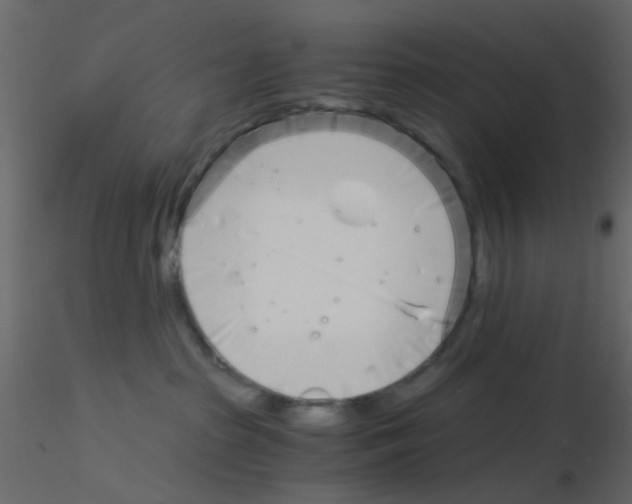 X0000115820285200912241941