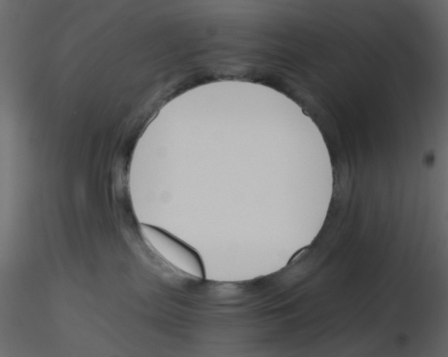 X0000115820287200912241941