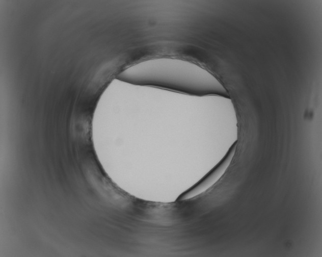 X0000115820288200912241941