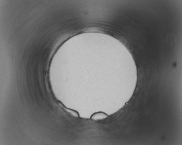 X0000115820289200912241941