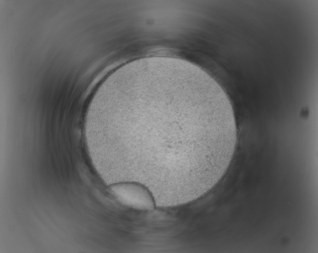 X0000115820290200912241941