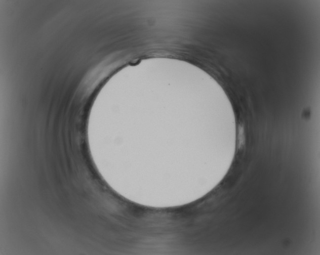 X0000115820291200912241941