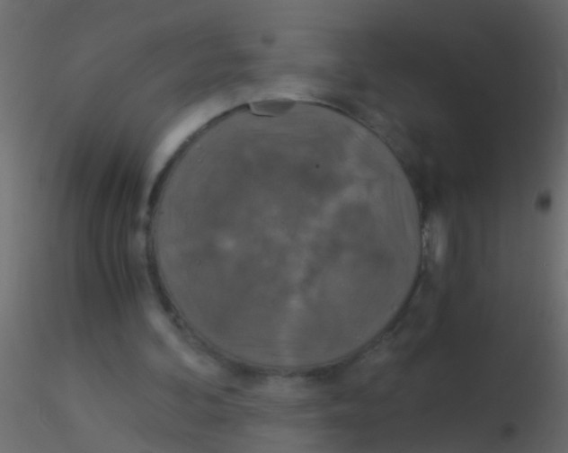 X0000115820292200912241941