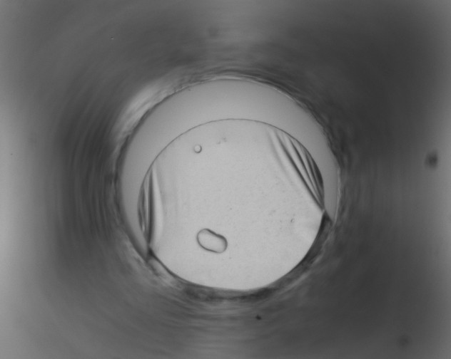 X0000115820293200912241941