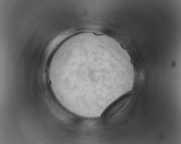 X0000115820294200912241941