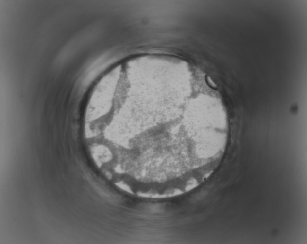 X0000115820295200912241941