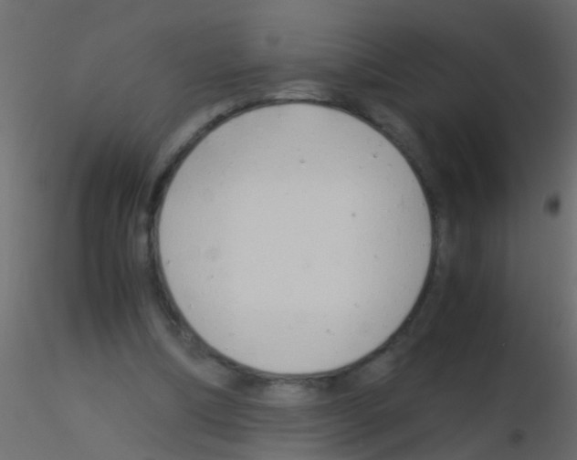 X0000115820298200912241941