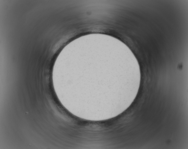 X0000115820299200912241941