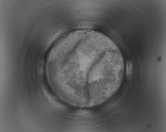 X0000115820300200912241940