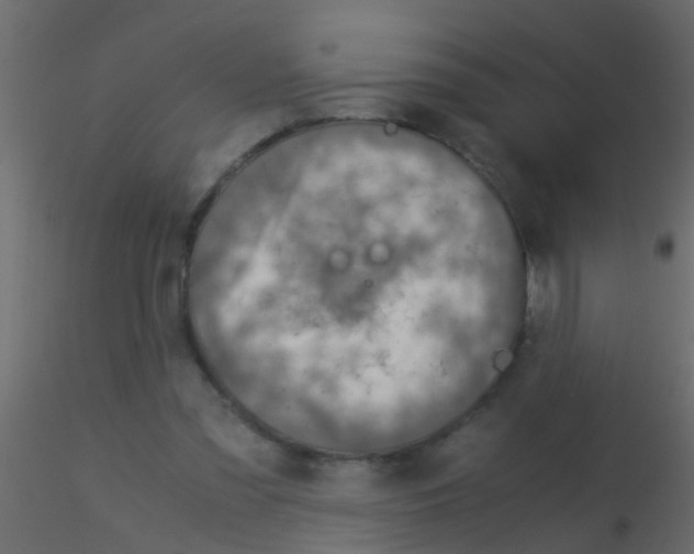 X0000115820301200912241940