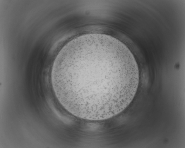 X0000115820302200912241940