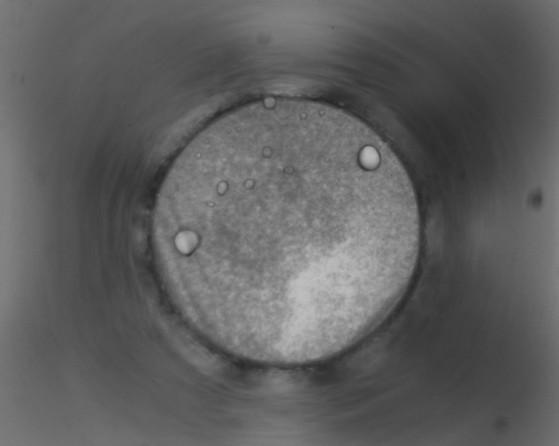 X0000115820305200912241940