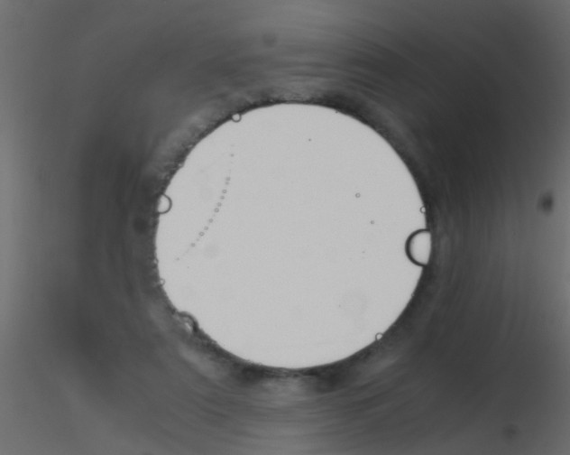 X0000115820307200912241940