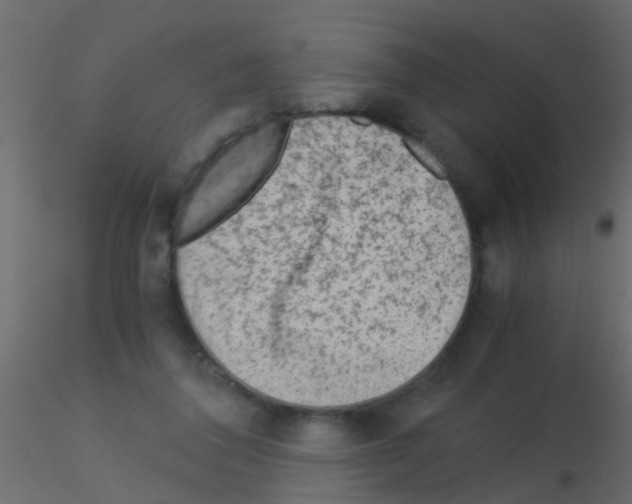 X0000115820308200912241940