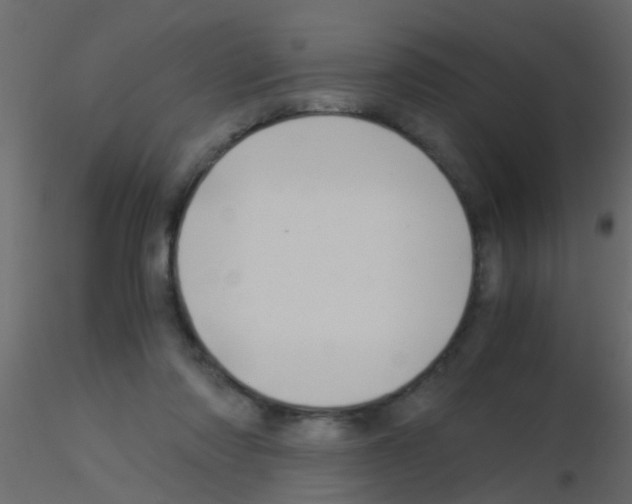 X0000115820310200912241940