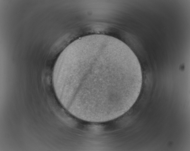 X0000115820313200912241940