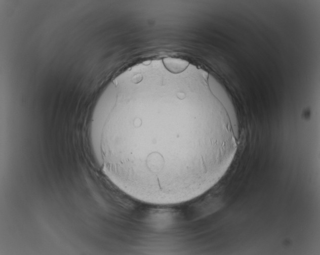 X0000115820316200912241940