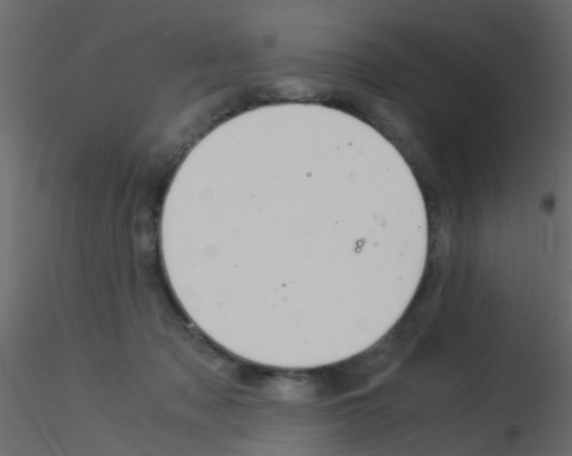 X0000115820317200912241940