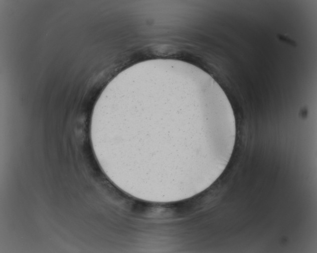 X0000115820319200912241940