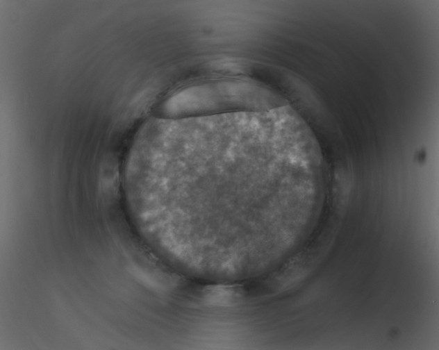 X0000115820320200912241940