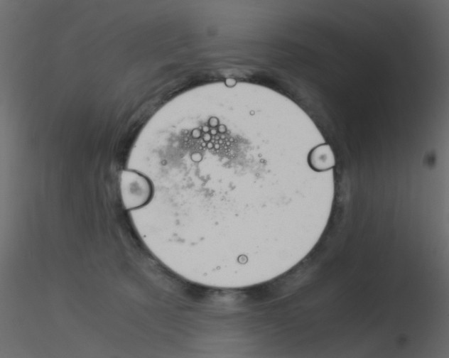 X0000115820321200912241940