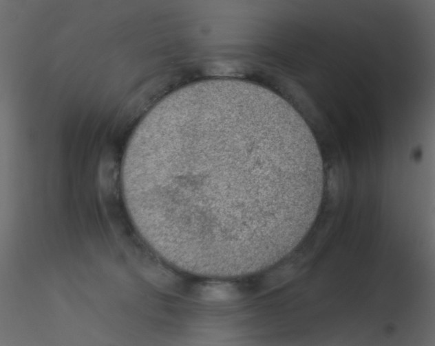 X0000115820322200912241940