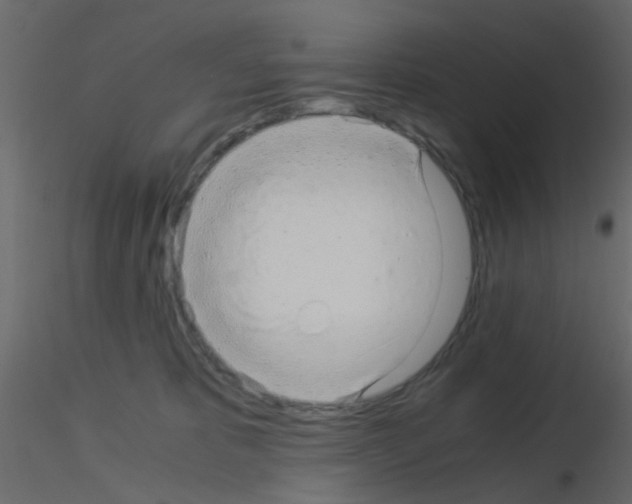 X0000115820325200912241940