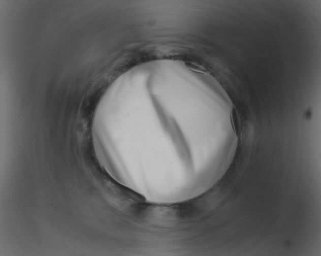 X0000115820327200912241940