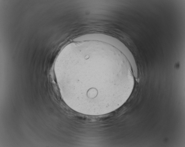 X0000115820329200912241940