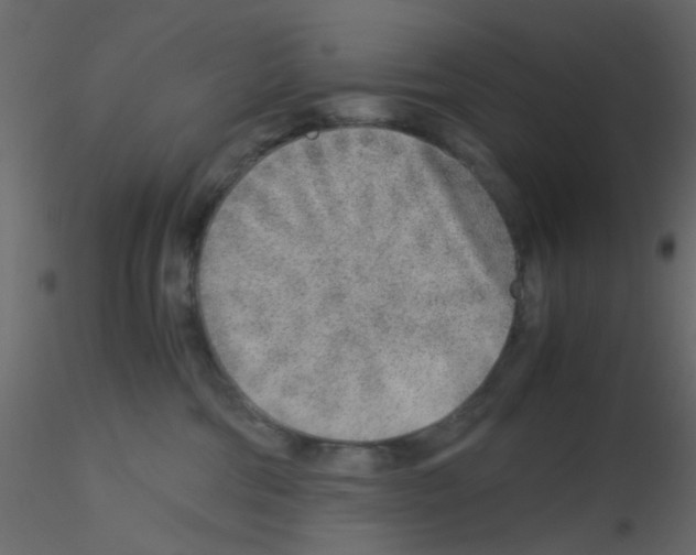 X0000115820330200912241940