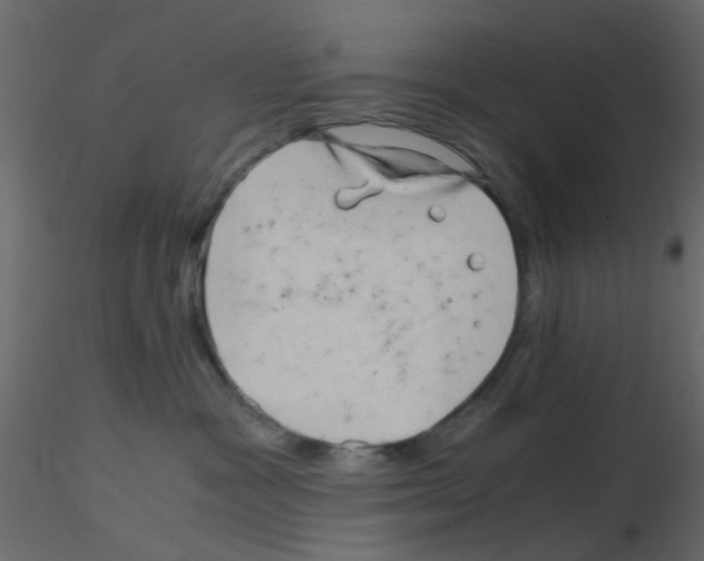 X0000115820333200912241940