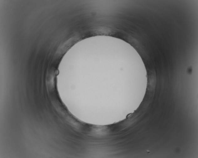 X0000115820334200912241940