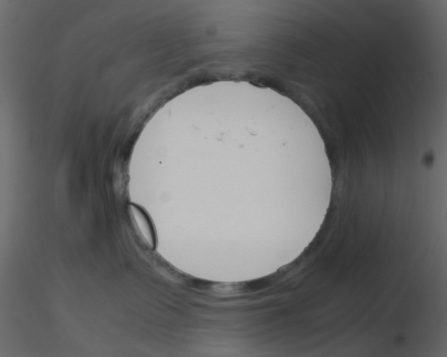 X0000115820335200912241940